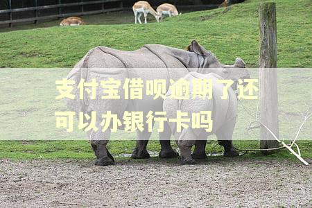 支付宝借呗逾期了还可以办银行卡吗