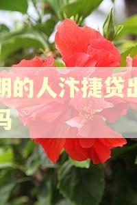 逾期的人汴捷贷出额度吗