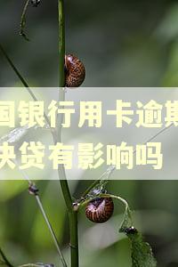 中国银行用卡逾期对渝快贷有影响吗