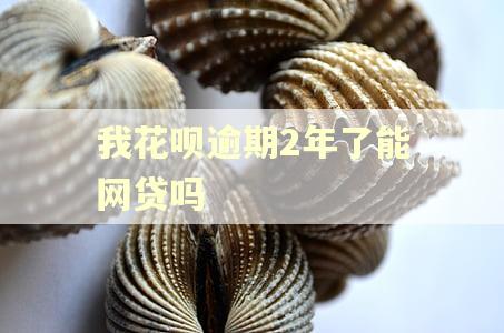 我花呗逾期2年了能网贷吗