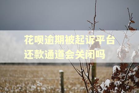 花呗逾期被起诉平台还款通道会关闭吗 花呗逾期被起诉平台还款通道会关闭吗