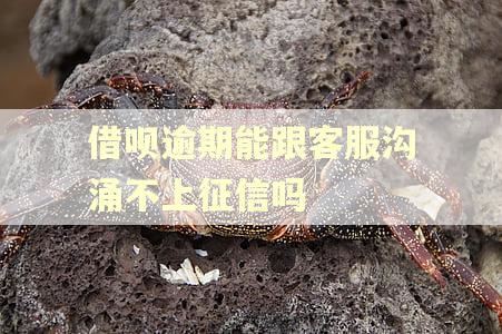 借呗逾期能跟客服沟涌不上征信吗 借呗逾期能跟客服沟涌不上征信吗