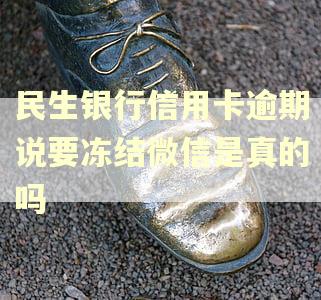民生银行信用卡逾期说要冻结微信是真的吗