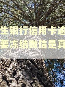 民生银行信用卡逾期说要冻结微信是真的吗 民生银行信用卡逾期说要冻结微信是真的吗