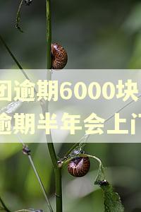 美团逾期6000块钱逾期半年会上门吗