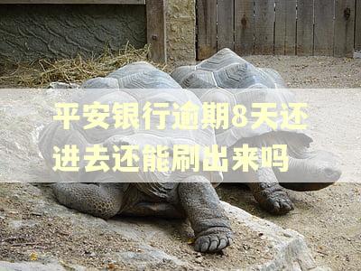 平安银行逾期8天还进去还能刷出来吗