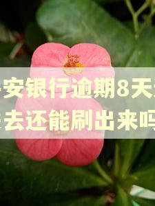 平安银行逾期8天还进去还能刷出来吗