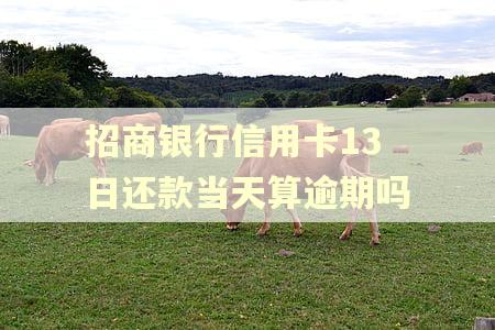 招商银行信用卡13日还款当天算逾期吗 招商银行信用卡13日还款当天算逾期吗