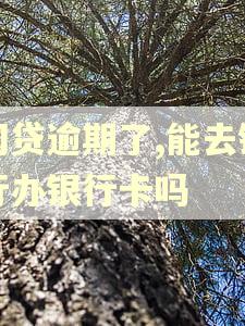 网贷逾期了,能去银行办银行卡吗