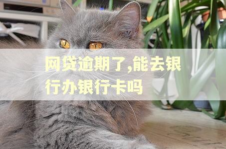 网贷逾期了,能去银行办银行卡吗