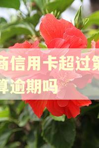 工商信用卡超过第三天算逾期吗