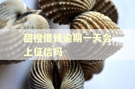 甜橙借钱逾期一天会上征信吗 甜橙借钱逾期一天会上征信吗