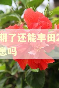 逾期了还能丰田2年免息吗 逾期了还能丰田2年免息吗