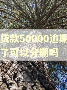 贷款50000逾期了可以分期吗