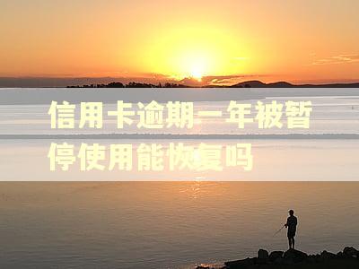 信用卡逾期一年被暂停使用能恢复吗