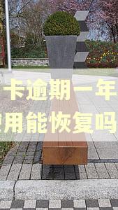 信用卡逾期一年被暂停使用能恢复吗