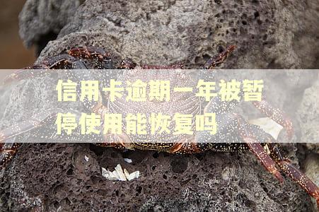 信用卡逾期一年被暂停使用能恢复吗 信用卡逾期一年被暂停使用能恢复吗