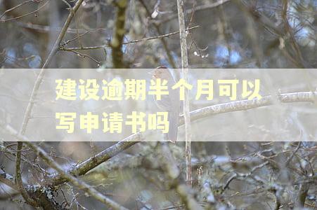 建设逾期半个月可以写申请书吗