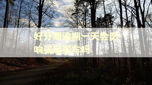 好分期逾期一天会影响买房买车吗