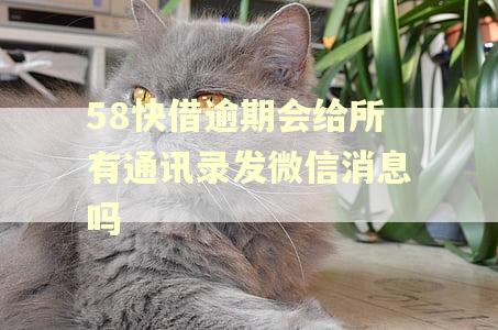 58快借逾期会给所有通讯录发微信消息吗