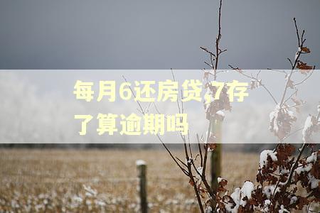 每月6还房贷,7存了算逾期吗