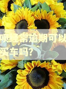 借呗经常逾期可以贷款买车吗？