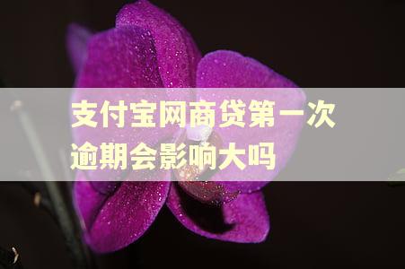支付宝网商贷第一次逾期会影响大吗