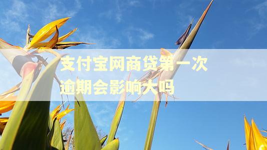 支付宝网商贷第一次逾期会影响大吗