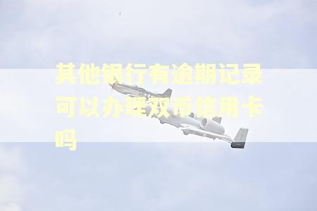 其他银行有逾期记录可以办理双币信用卡吗