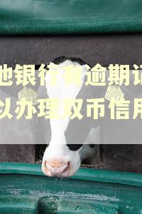 其他银行有逾期记录可以办理双币信用卡吗