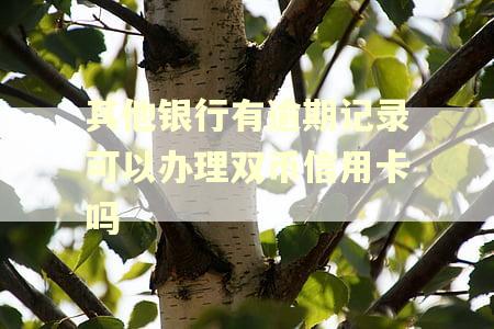 其他银行有逾期记录可以办理双币信用卡吗 其他银行有逾期记录可以办理双币信用卡吗