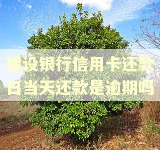 建设银行信用卡还款日当天还款是逾期吗