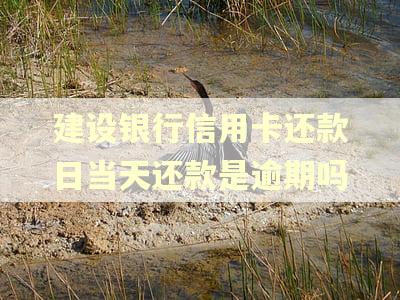 建设银行信用卡还款日当天还款是逾期吗