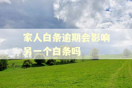 家人白条逾期会影响另一个白条吗