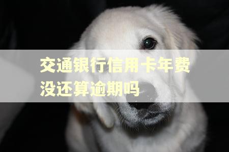 交通银行信用卡年费没还算逾期吗