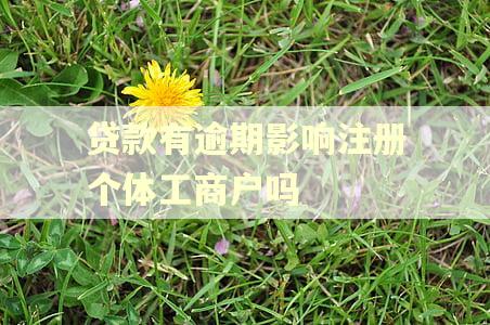 贷款有逾期影响注册个体工商户吗