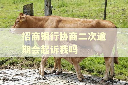 招商银行协商二次逾期会起诉我吗