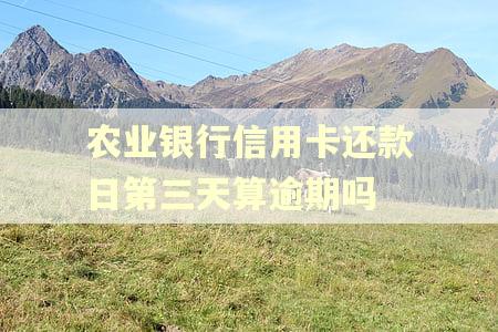 农业银行信用卡还款日第三天算逾期吗