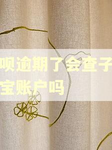 借呗逾期了会查子支付宝账户吗
