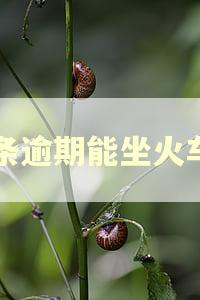 白条逾期能坐火车吗