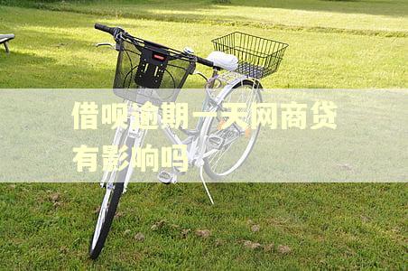 借呗逾期一天网商贷有影响吗