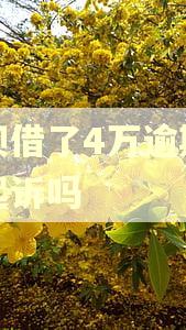 借呗借了4万逾期了会起诉吗