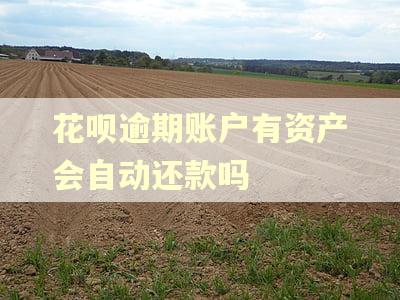 花呗逾期账户有资产会自动还款吗