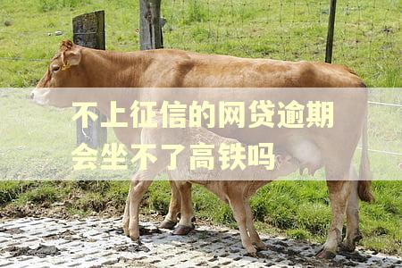 不上征信的网贷逾期会坐不了高铁吗