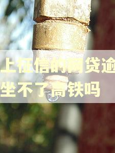 不上征信的网贷逾期会坐不了高铁吗