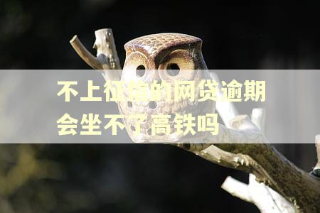 不上征信的网贷逾期会坐不了高铁吗
