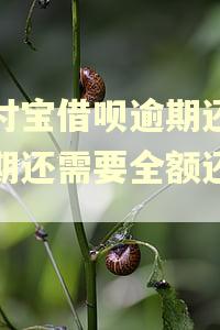 支付宝借呗逾期还完本期还需要全额还款吗