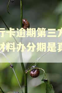 银行卡逾期第三方说要材料办分期是真的吗