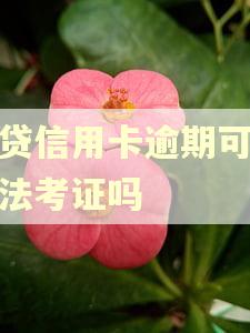 网贷信用卡逾期可以拿法考证吗 网贷信用卡逾期可以拿法考证吗