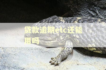 贷款逾期etc还能用吗